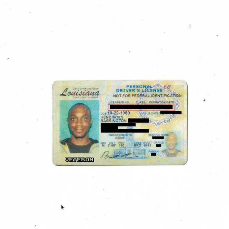 JPEGMAFIA - Veteran: Director's Cut