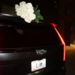 Lexa Gates - Nothing To Worry About