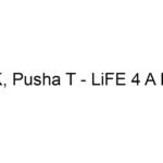 IDK, Pusha T - LiFE 4 A LiFE