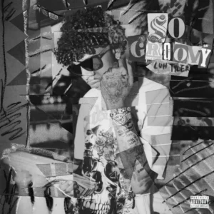 Luh Tyler - So Groovy